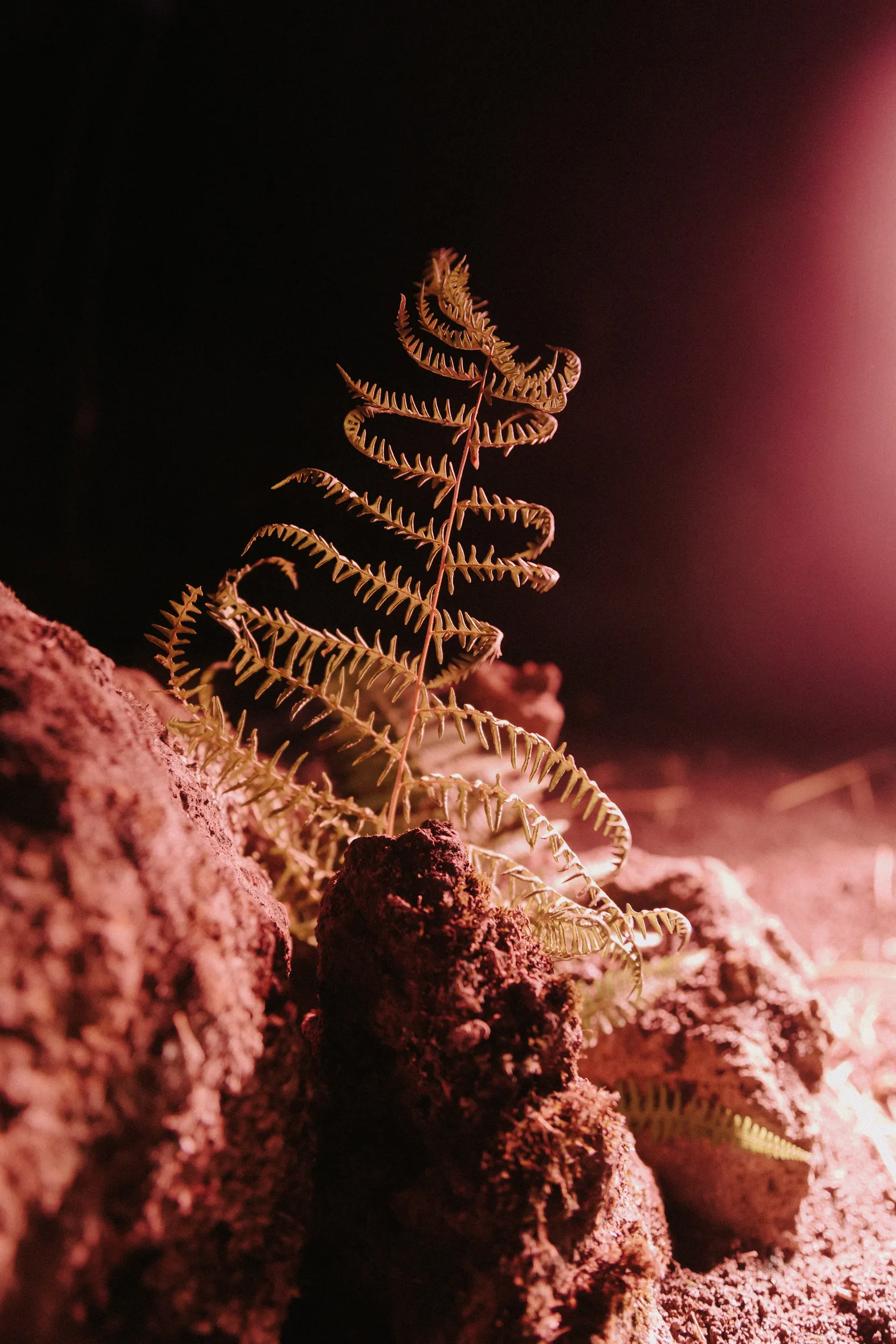 Opera Festival 2024 — scenography